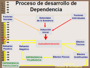 proceso_drogodependencia